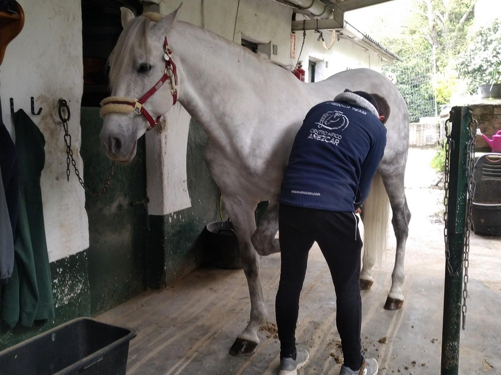 #yoentrenoencasa con César Pérez De Zabalza